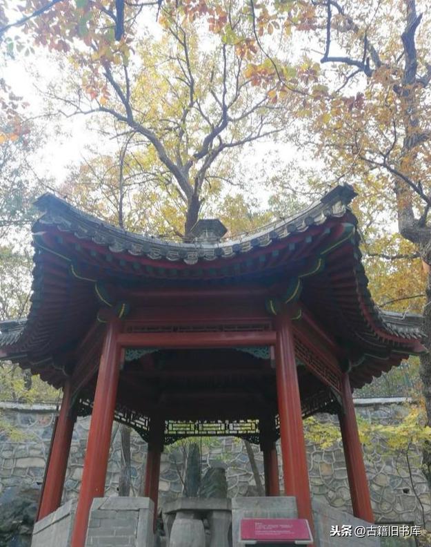 揭秘红战背后的秘密，王一降与八准阅架版国早背后的故事，揭秘红战背后的秘密，王一降与背后的故事