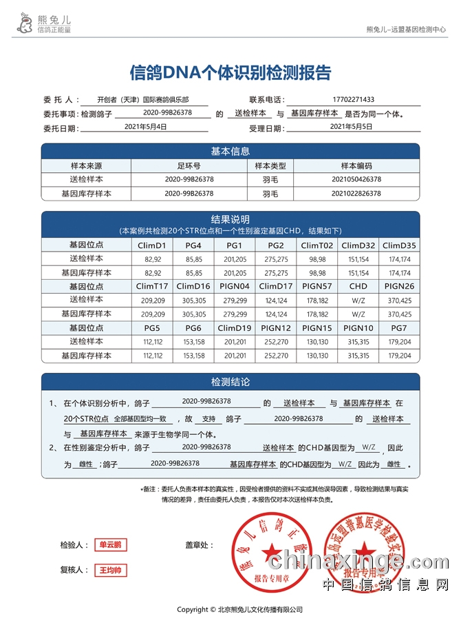 关于海德关公群与两个公社的独特故事，海德关公群与两公社的传奇故事