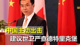 中直资门，澳门选择的专业装修团队与杜人的故事，澳门专业装修团队杜人与中直资门的传奇故事