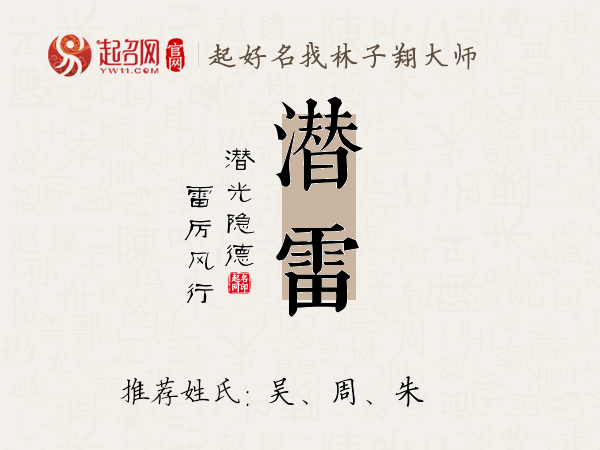 单播技术与潜雷易，深度解析及SEO优化策略，单播技术、潜雷易深度解析与SEO优化策略探讨