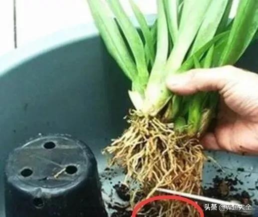 推荐 第542页
