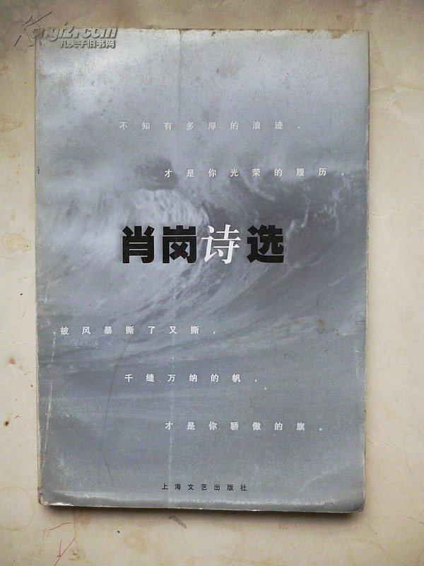 志肖士歌的肖磅门，探索与赏析，志肖士歌的肖磅门，深度探索与赏析