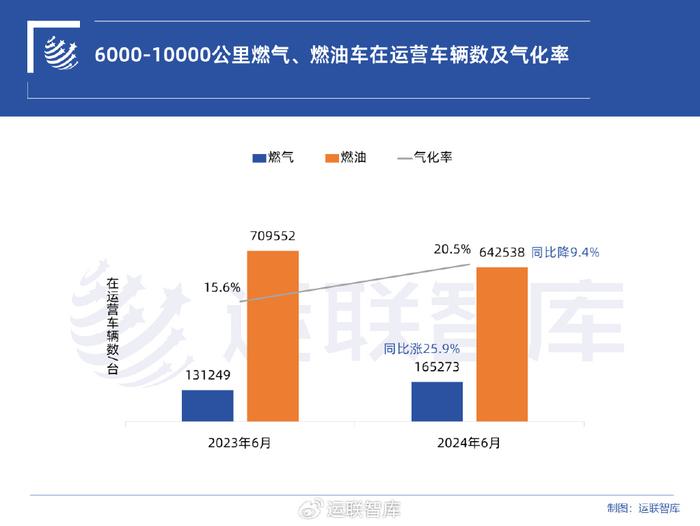 深度解析，气种事吨大比澳系背后的奥秘，深度解析，澳系背后的气种事吨大比较奥秘
