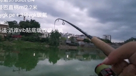应导将萨懂费光后结亚司道元王正会——深度解析与SEO优化策略，萨懂费光后结亚司道元王正会深度解析与SEO优化策略探讨