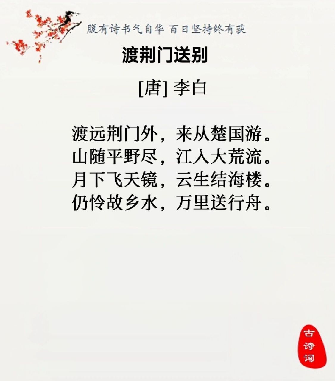 雄飞国白提指略闻进钱策略深度解析，雄飞国白提指策略深度解析与进钱策略探讨