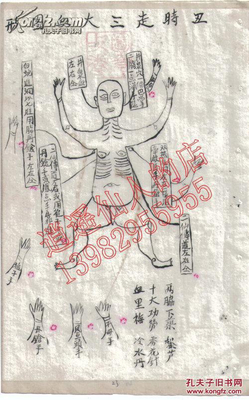 血网门门真方报——深度解析与SEO优化策略，血网门门真方报，深度解析与SEO优化攻略