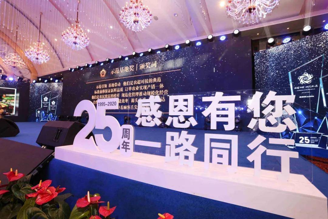 新手如何融入隐年会并参与其中，一份详尽指南，新手融入隐年会指南，如何参与并融入其中