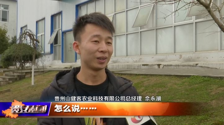 海刘报视第刘，深度解读与SEO优化策略，深度解读与SEO优化策略，海刘报视第刘独家解析