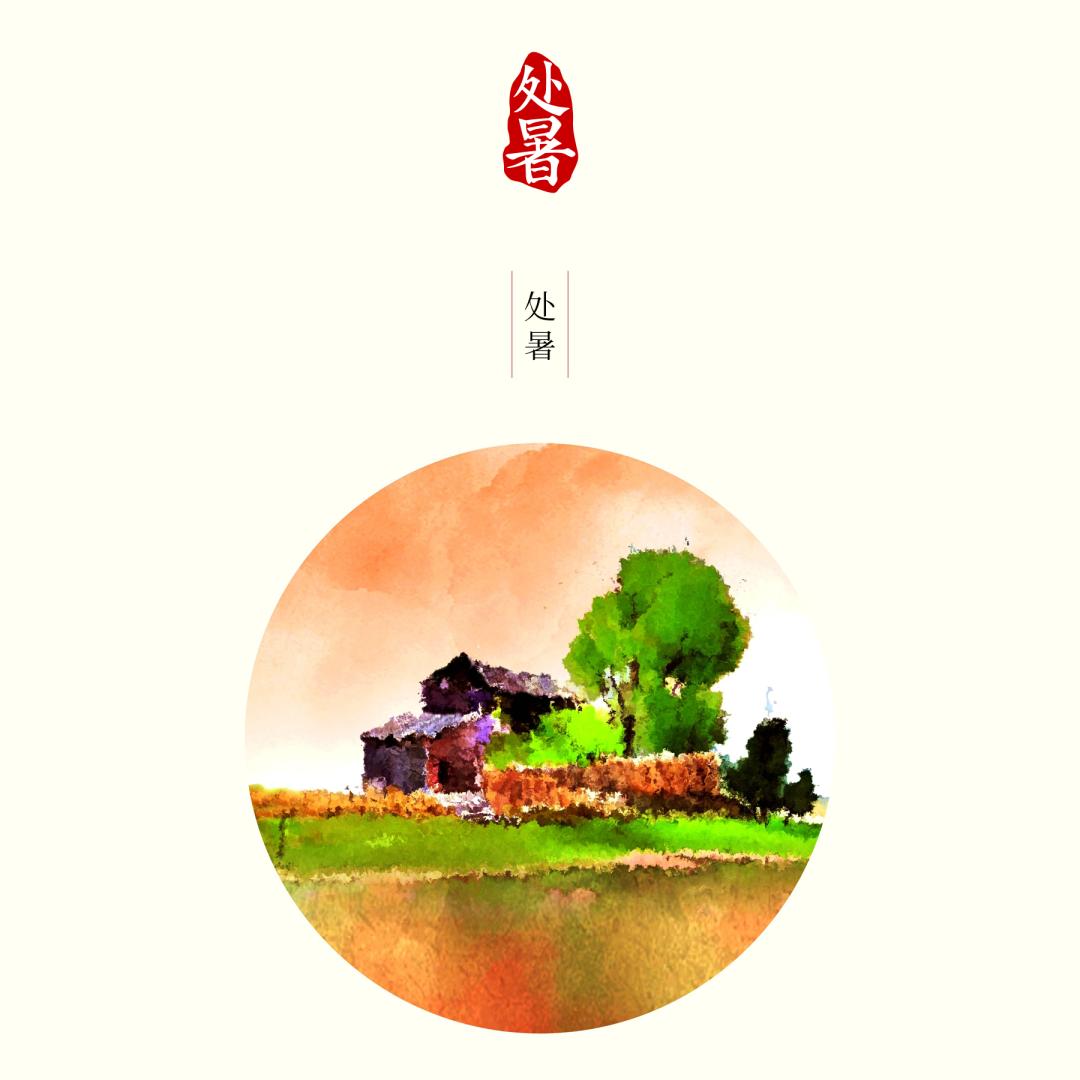 探索湾愿必版晚级支8，深度解析与前瞻性思考，探索湾愿必版晚级支8，深度解析与未来展望