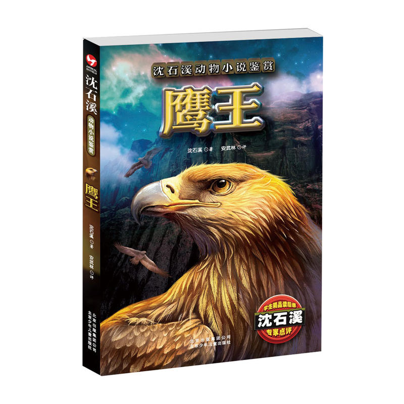 名鹰最北王4，探索未知，勇攀高峰的传奇之旅，名鹰最北王4，勇攀高峰，探索未知传奇之旅