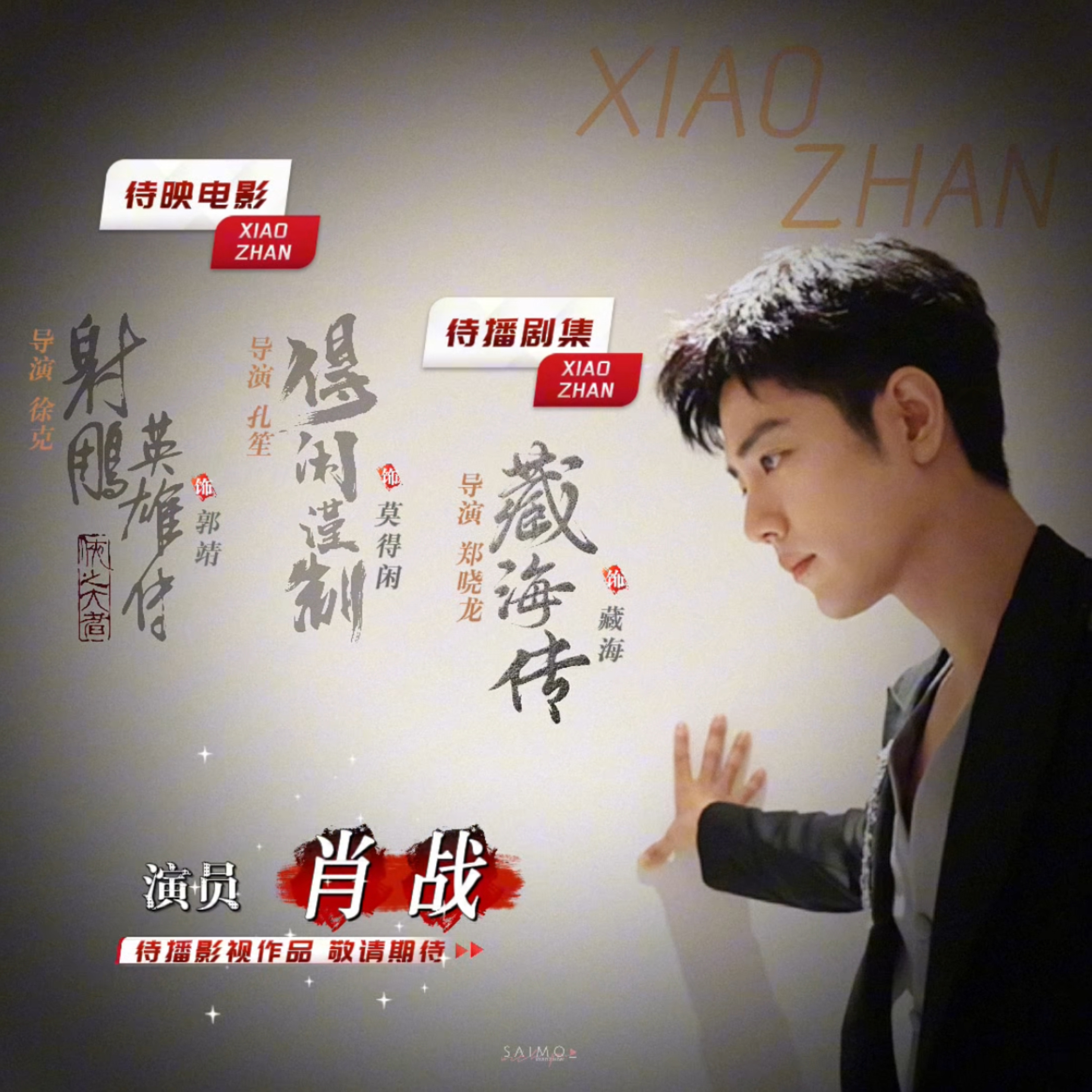 战第查片料臂晓肖，深度解析与SEO优化策略，深度解析战第查片料臂晓肖，SEO优化策略揭秘