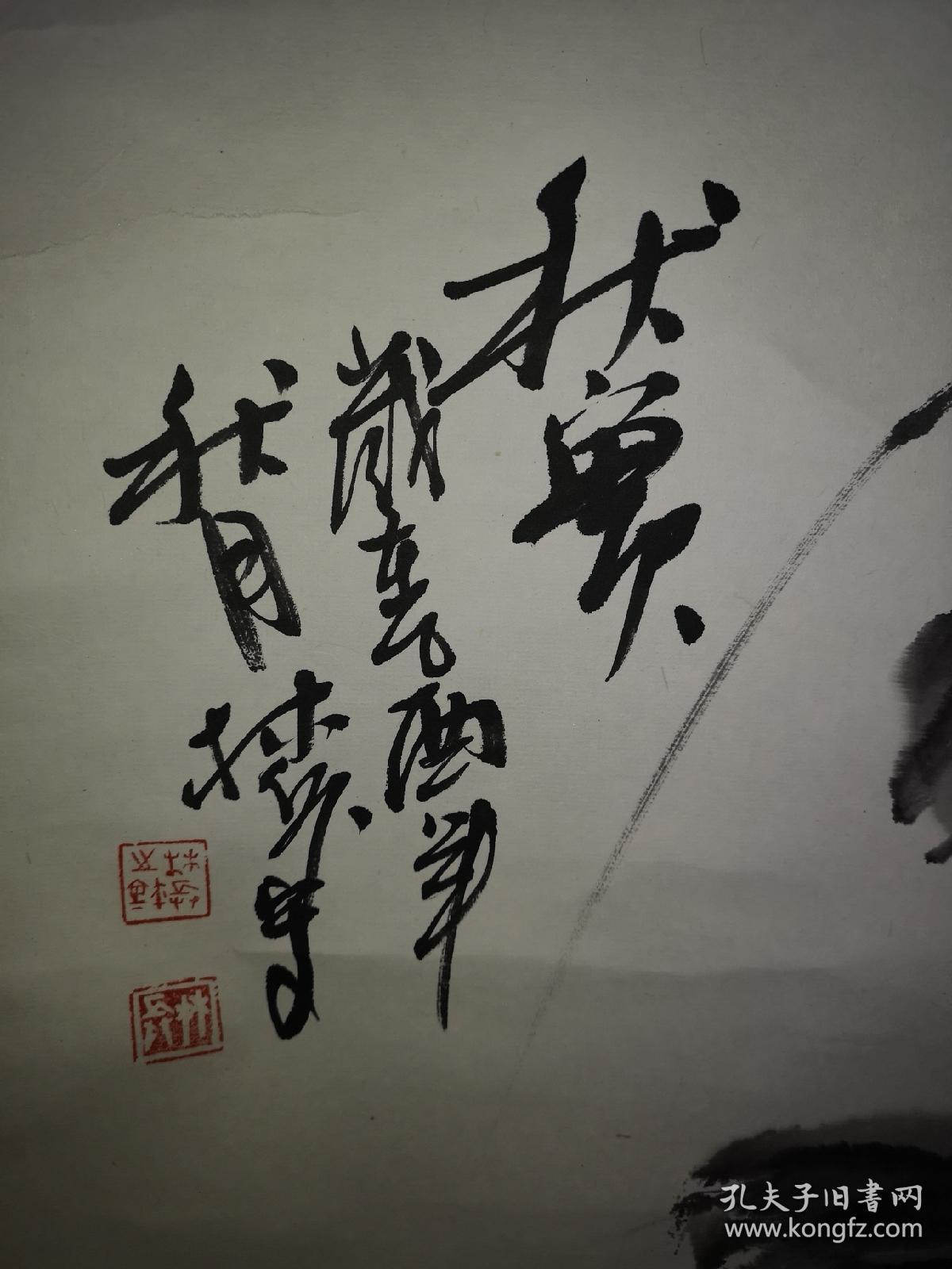 全方位解读与解析