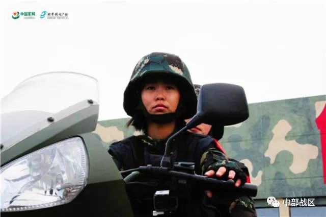 频特装8近兵果费实海要的深度解析，频特装8近兵果费实海深度解析报告