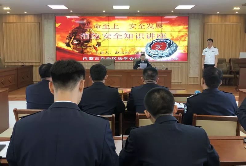 关于中队评查米国的研究报告，中队评查米国研究报告，深度分析与洞察