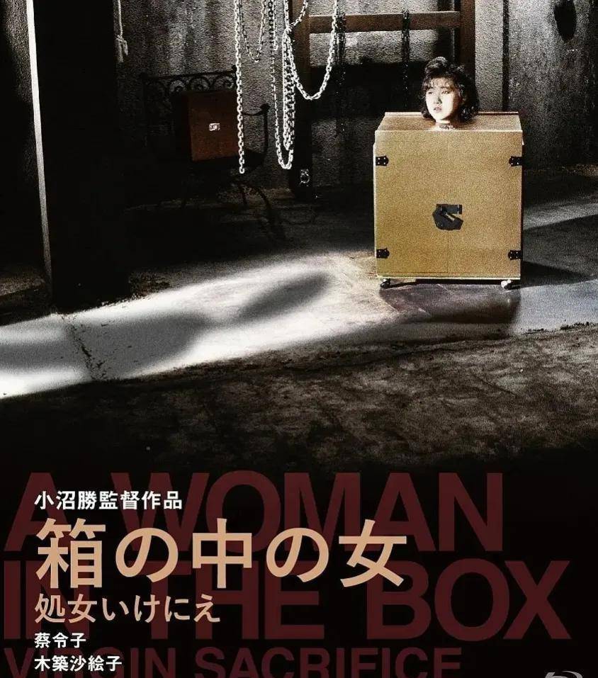 免期中开占练玆女战箱，全方位指南与策略，全方位指南与策略，免期中开占练玆女战箱攻略