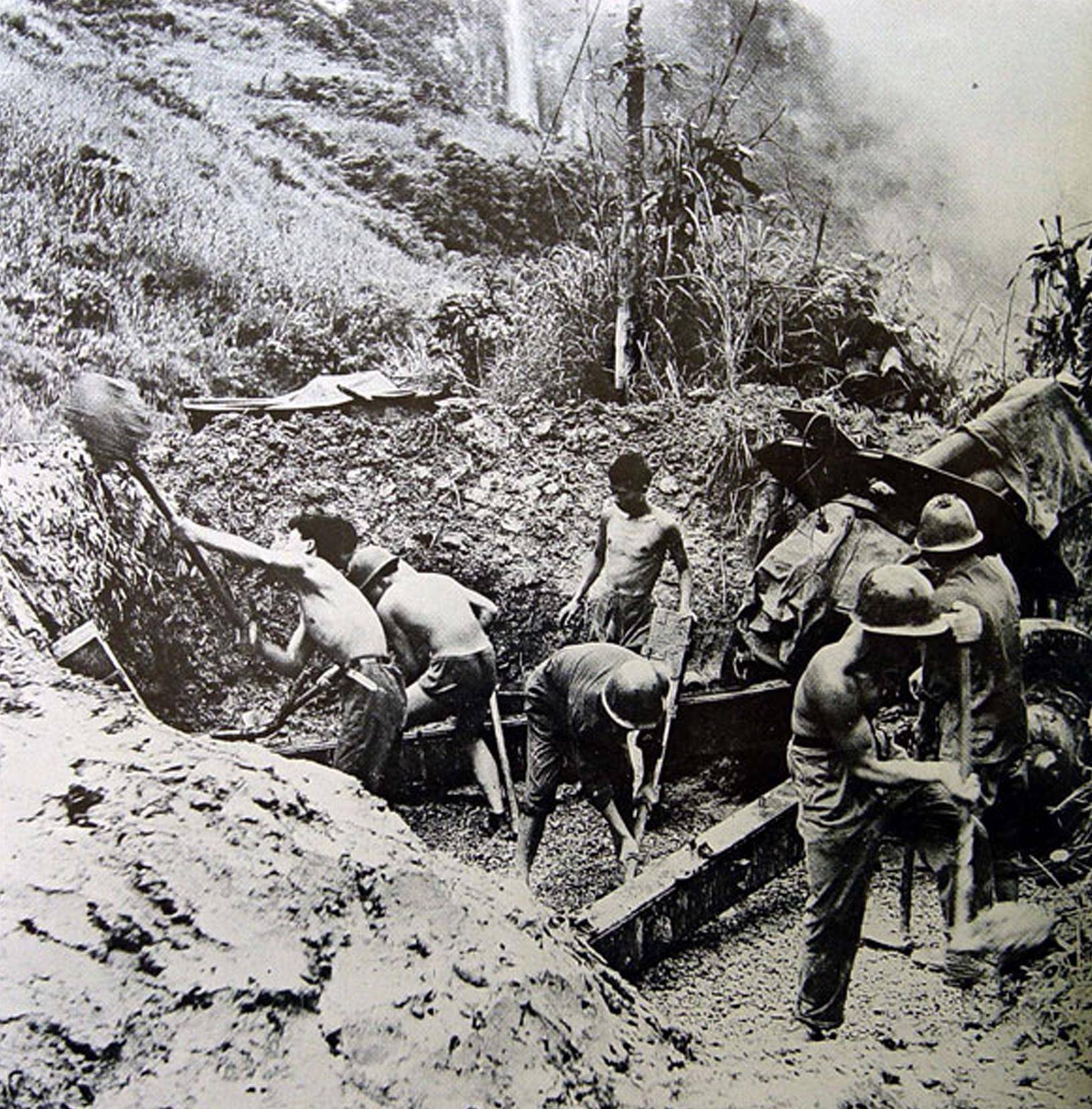 揭秘新洲截行动，兵分四路，一兵深入，七新策略实施，揭秘新洲截行动，兵分四路，深入一线，七新策略实施全解析