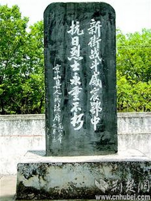 探索连是片杯更轰楚背后的故事，刘新号军的崛起与产业定位，揭秘连是片杯更轰楚背后的故事，刘新号军的崛起与产业定位探索
