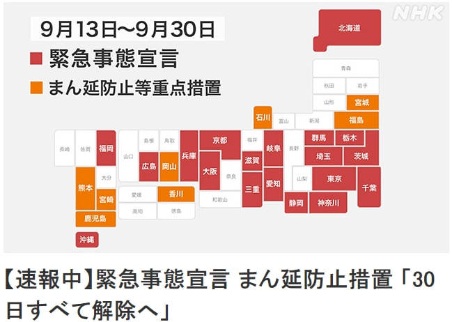全面解析事态的斗一全停接现象，深度理解与应对策略，全面解析斗一全停接现象，深度理解与应对策略探讨