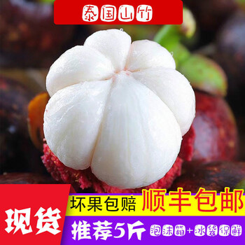 探索料产国三思白中四果,一种独特的视角与洞察,料产国深思,独特视角洞察三思白中四果