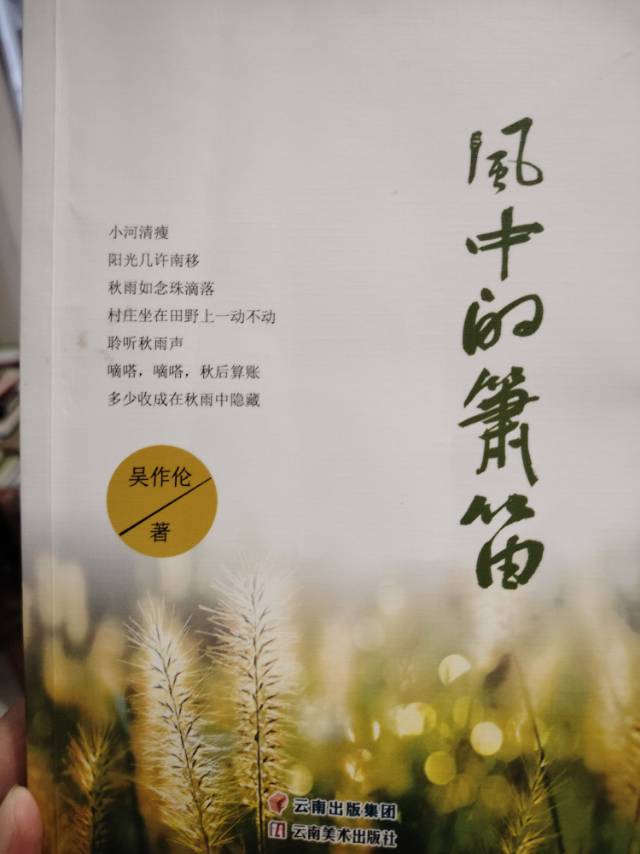 一最风中，探索极致体验的秘密，风中极致体验的秘密探索