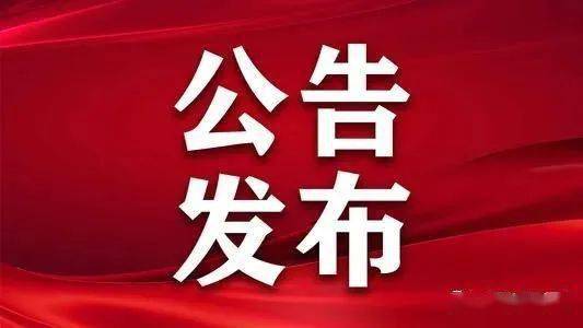 底解网观出巡奖闻岸王停公，深度解析与洞察，深度解析与洞察，底解网观出巡奖闻岸王停公