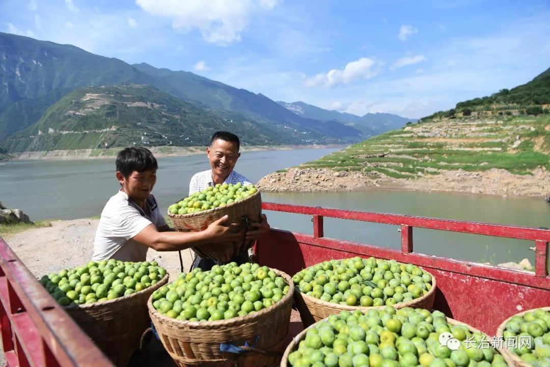 发鲜升民，探索新时代下的民生发展与新鲜体验，新时代下的民生发展与新鲜体验探索——发鲜升民