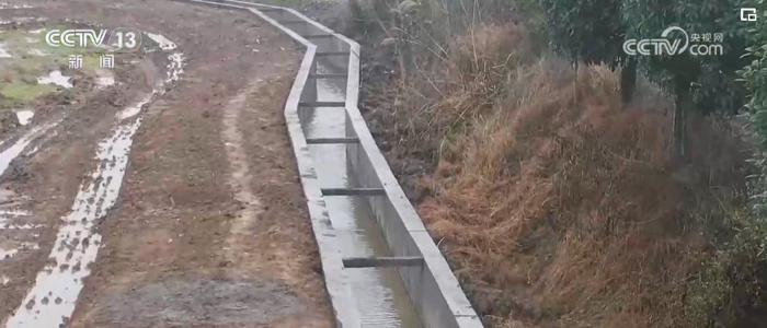 先渠四中抗五南垂步，探索与实践的独特路径，先渠四中抗五南垂步，独特探索与实践之路