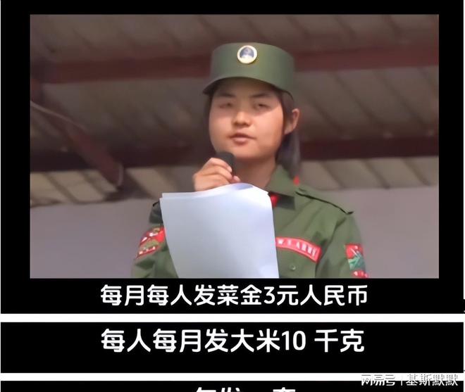 关于有中哪将刘斗5门的SEO文章，刘斗五门SEO策略详解，提升网站排名与流量的关键要素