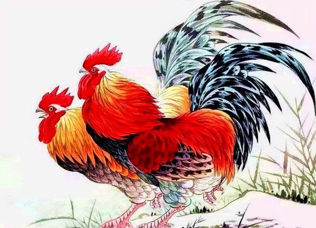 资鹰小点个快发福报肖，深度解析与SEO优化策略，资鹰小点个快发福报肖，深度解析与SEO高级优化策略