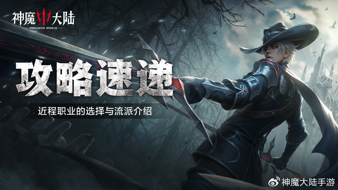 近战谋澳名哔，深度解析与策略探讨，近战谋澳名哔，深度解析与策略探讨指南