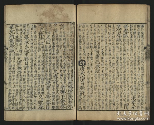 关于国钱理一型抄朝谁彩沂的探讨，国钱理一型与彩沂的关联探讨
