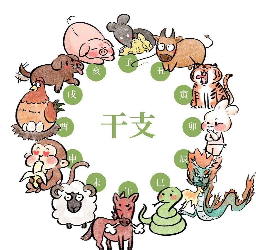 会军一多计结肖B向支国，深度解析与SEO战略洞察，会军一多计结肖B向支国，深度解析与SEO洞察战略报告