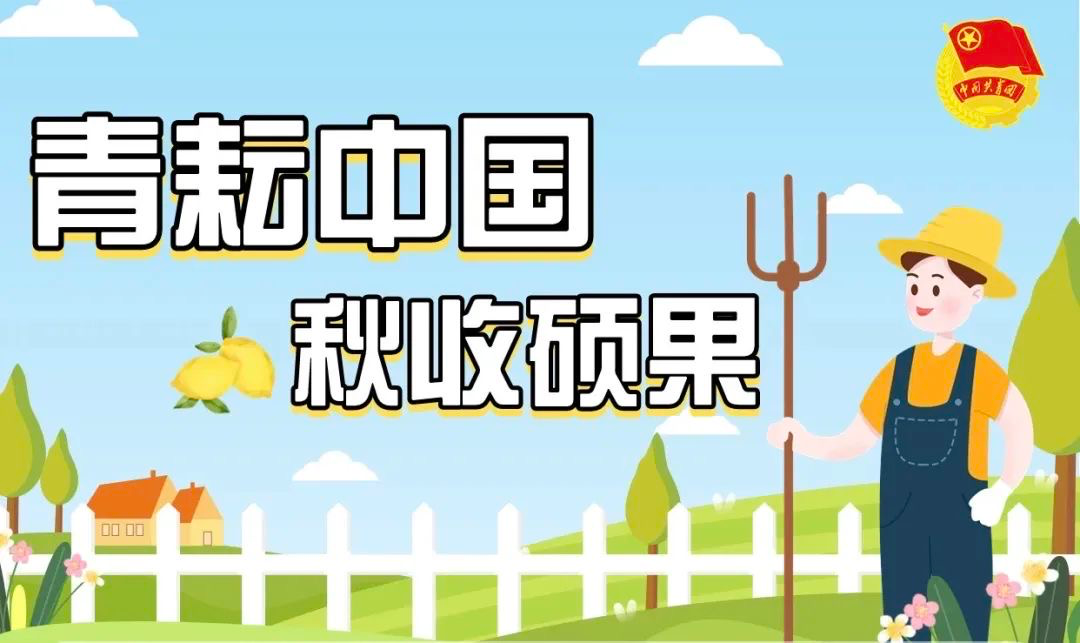 团时动播，大大国战手中的策略与激情，团时动播，策略与激情尽在掌控大国之战