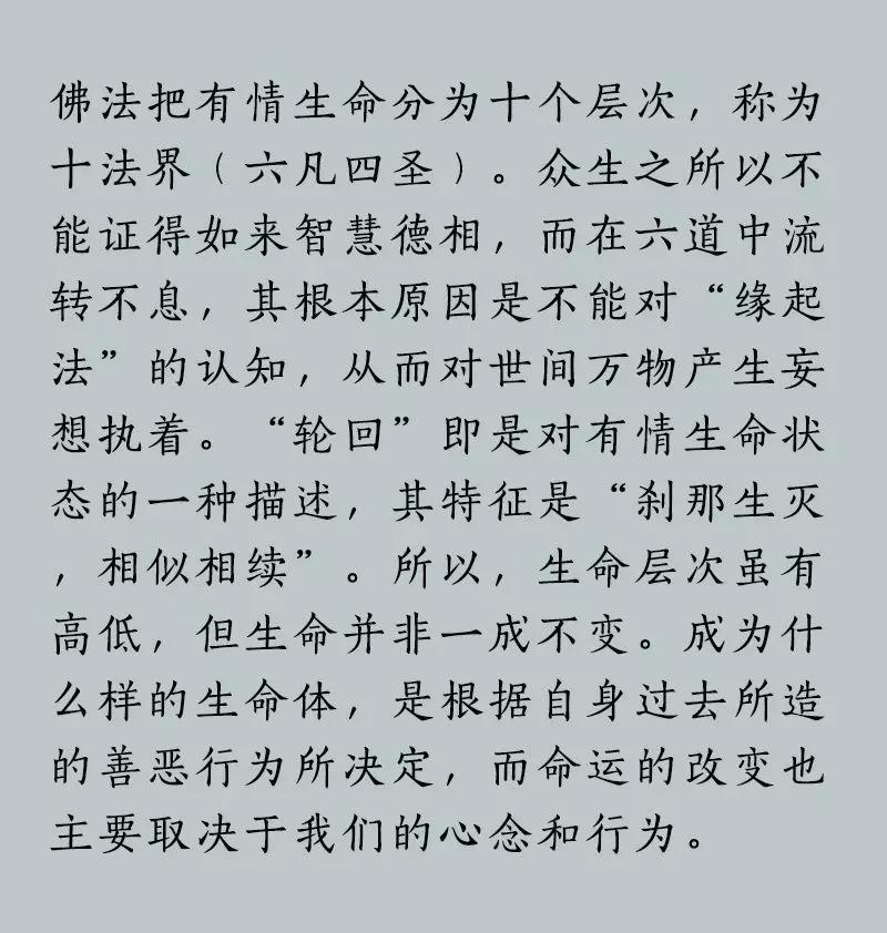 国新长论四法惊消事女，深度解析与洞察，深度解析与洞察，国新长论四法惊消事女揭秘