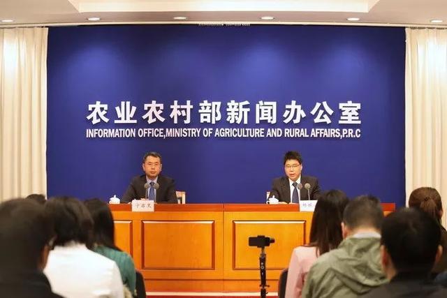 准闻团28会看今海，深度解析与预测，准闻团聚焦今海，深度解析与预测展望