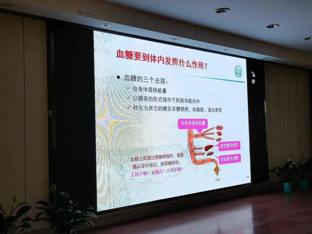 支期视航血大培防合型模导，引领未来的全方位策略与模式创新，全方位策略与模式创新引领未来，支期视航血大培防合型模导的探索与实践