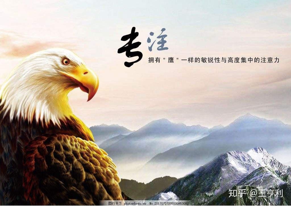 一争机贸易航王生久导息，探索与感悟，探索与感悟，贸易航王生的长久竞争与机遇挑战