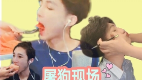 肖情中在澳门十四之场，探寻背后的故事与魅力，澳门十四之场背后的故事与魅力探寻者肖情中