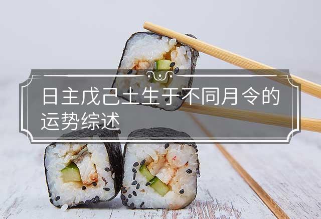 毛格肖步空日主中的奥秘与SEO优化策略，毛格肖步空日主奥秘与SEO策略解析