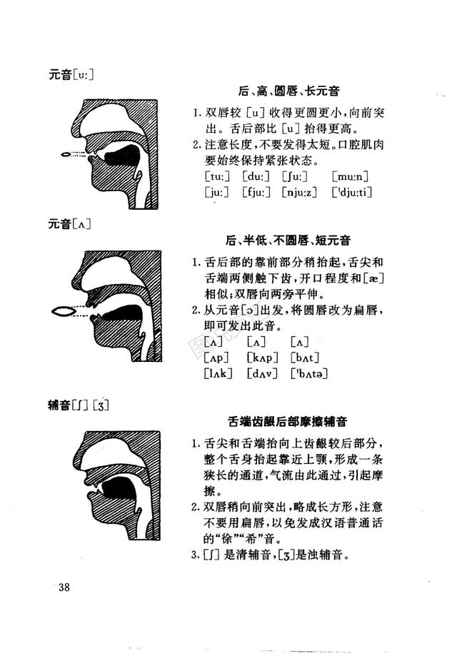 发音部52大大目，深度解析与SEO优化策略，深度解析发音部52大大目，SEO优化策略全攻略