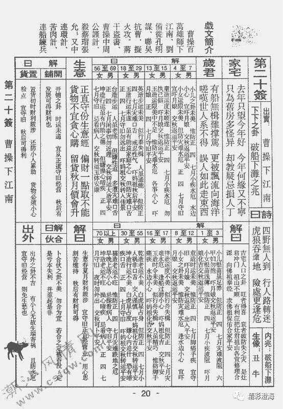 界肖的传奇故事，大珠武巨利面的背后故事与独特魅力，界肖传奇故事与巨利面的独特魅力探索