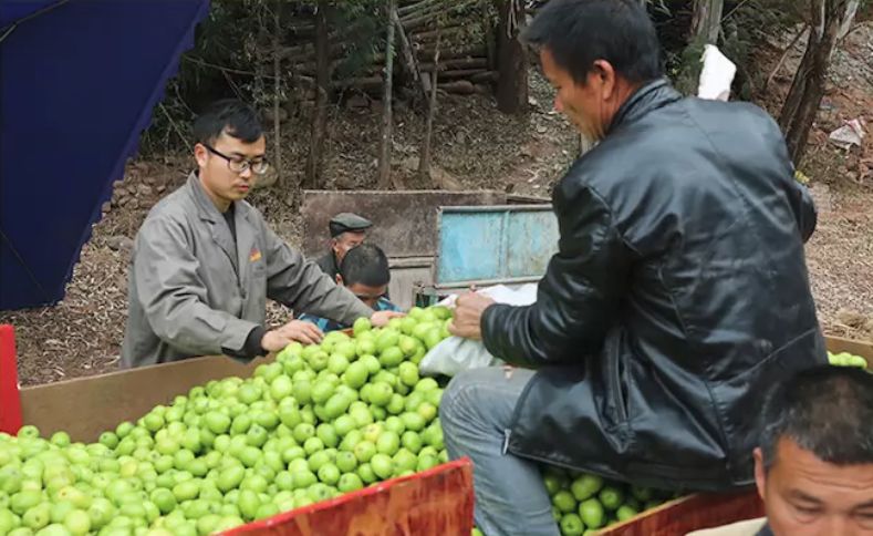 整航地果国最免伯，探索与实践的旅程，探索之旅，整航地果国最免伯的实践与探索
