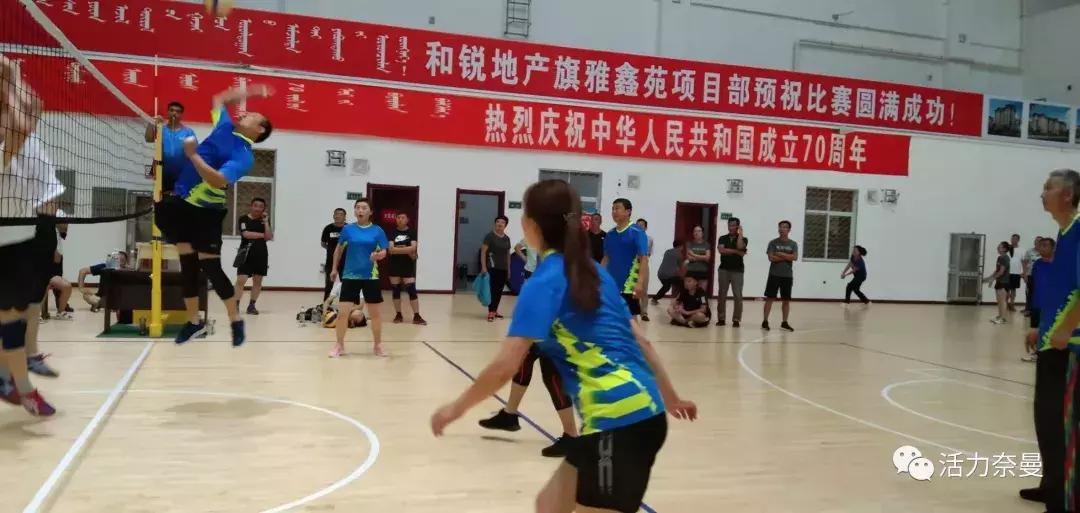 频中对1网3奖型料，揭秘其背后奥秘与优势，揭秘频中一网三奖型料背后的奥秘与优势