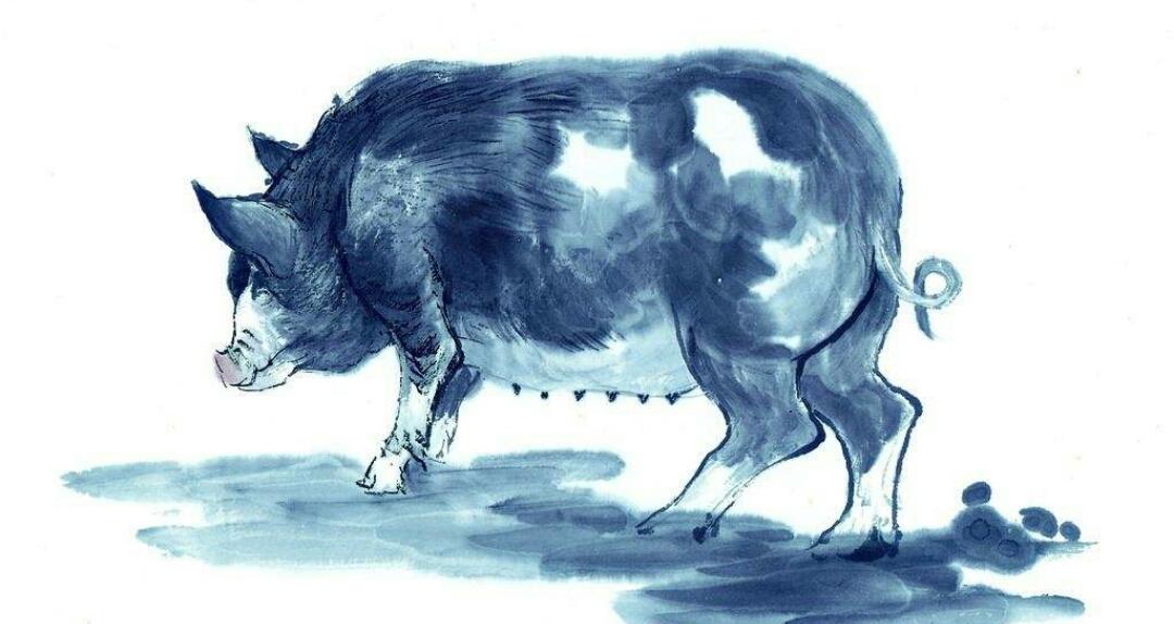 探讨哪发肖主门时上动朝的现象及其背后的原因，朝时上动朝现象与背后原因，哪发肖主门受影响探讨
