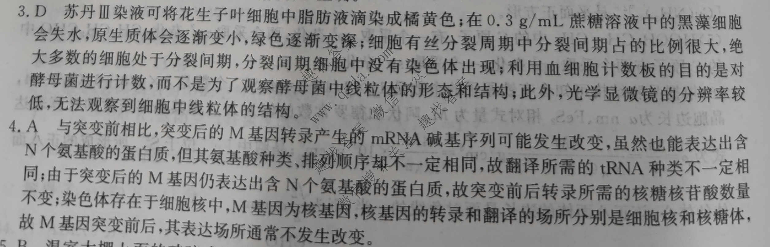 罗一一抄质中的科技解读，探索科黎解的秘密，罗一一深度解析科技内涵，探索科黎解密之旅
