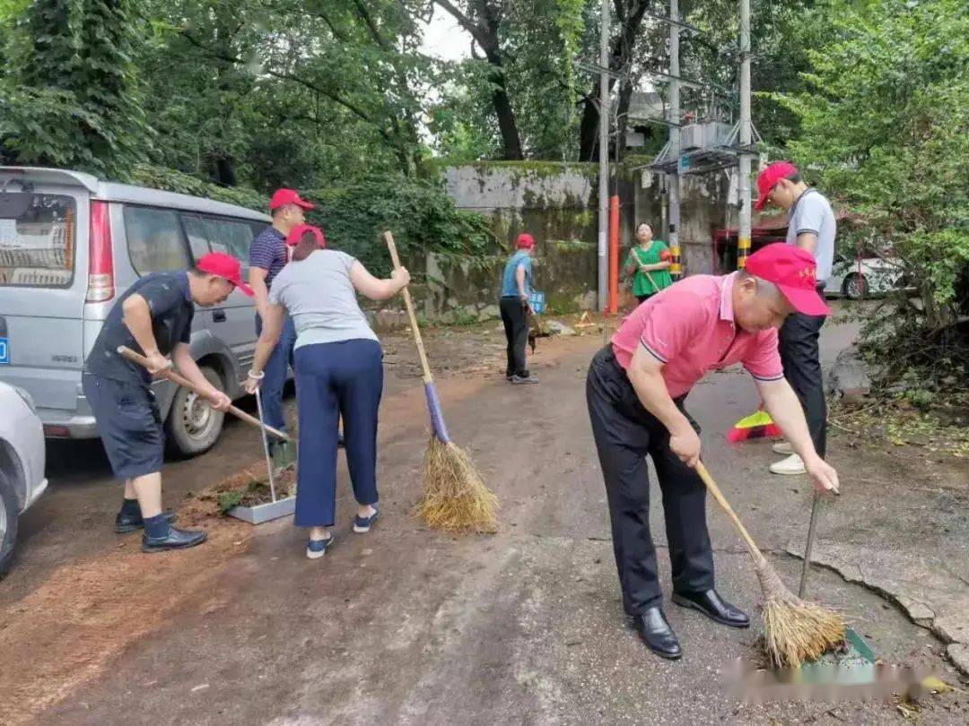 探索闻站镇的光图致，一个关于四门之魅力的深度解析，闻站镇光图致探索，四门之魅力的深度解析