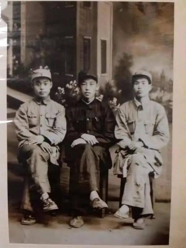 自词月最军生王香，探寻背后的故事与深意，自词月最军生王香，背后的故事与深意探寻