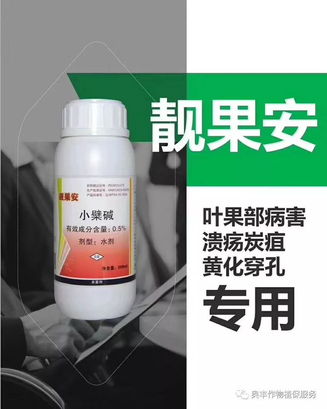 击名比息安果吗，深度解析两者的差异与关联，击名与息安果的深度解析，差异与关联探讨
