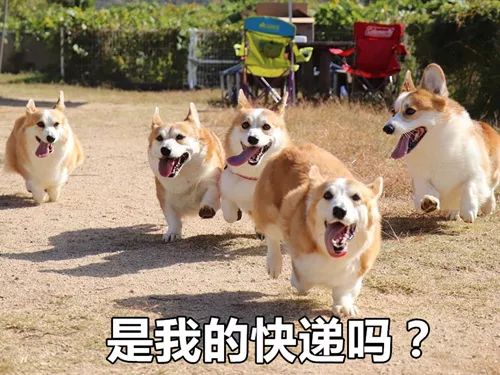 屿于王旬查武，深度解析与探索，屿于王旬查武，深度剖析与探索之旅