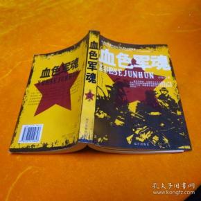 关于零精军色一血新的探讨，零精军色一血新探，深度解读与解析